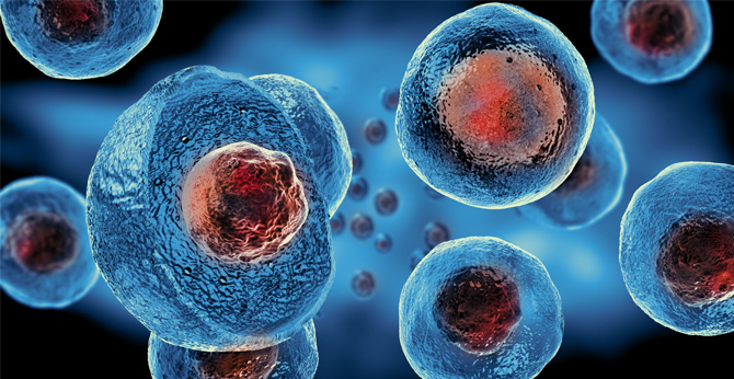 New Solution. (Creative Biolabs Authorized)