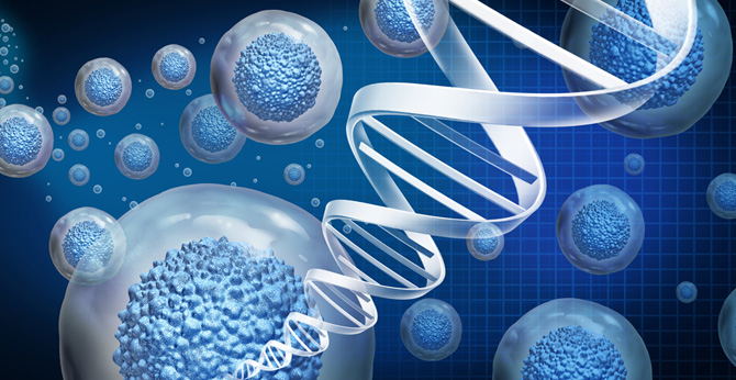 Novel Solution. (Creative Biolabs Authorized)