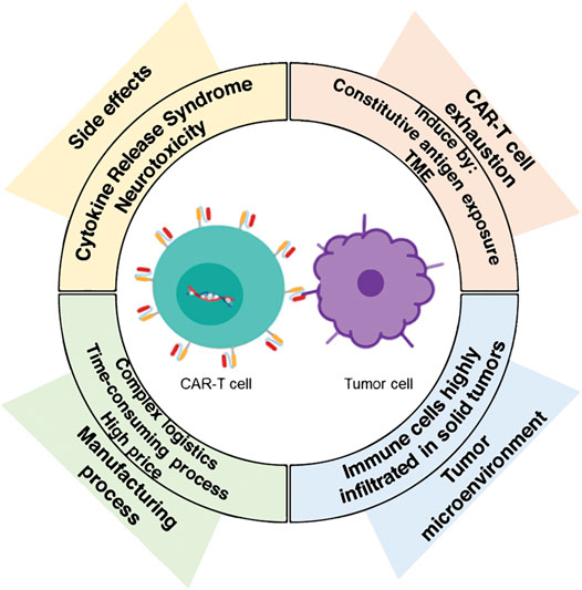 Fig.1 Challenges for CAR-T cell therapy. (Hernández-López, et al., 2021)