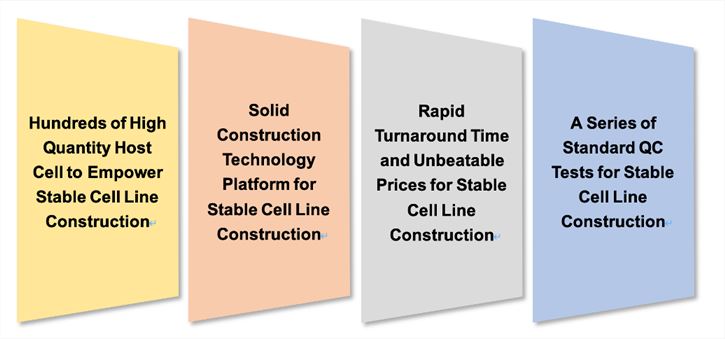 Benefits for stable cell line products.