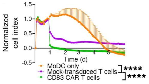 Measurement of the cytotoxicity of CD83 CAR T cells.
