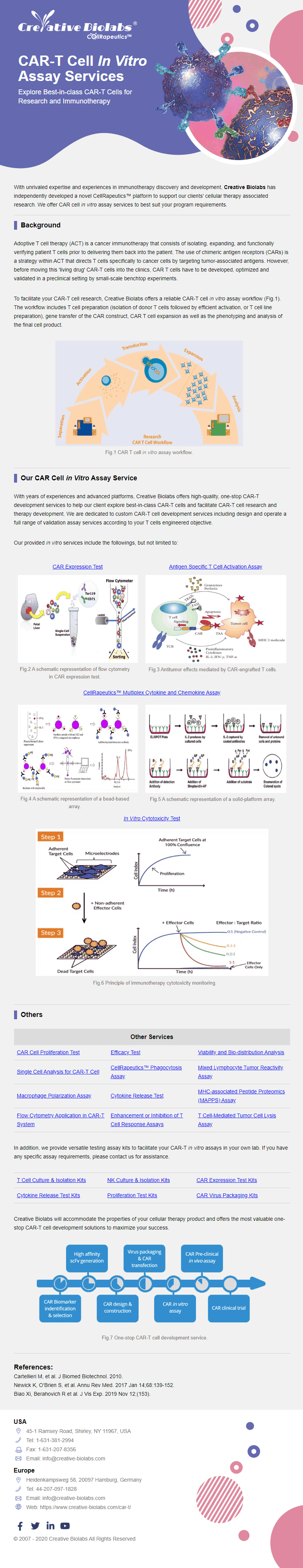Flyer: CAR-T Cell In Vitro Assay Services