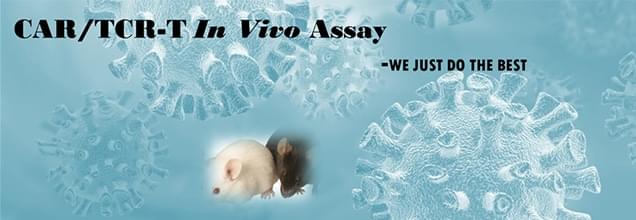 Quality Control for in vivo Assays