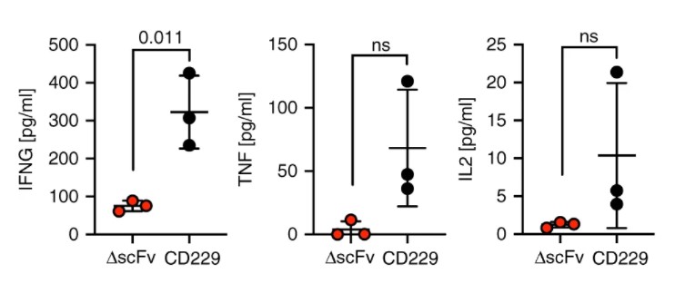 Fig.3 The cytokine levels in the supernatant when anti-CD229 CAR-T cells co-cultured with CD229-positive U-266 cell line. (Radhakrishnan, et al., 2020)