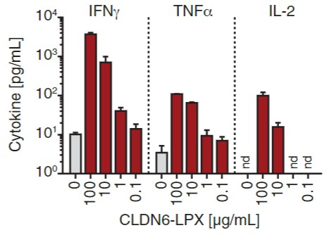 Fig.4 Cytokine detection of Claudin6-CART cells co-culture with claudin-expressing DCs analyzed by a multiplex assay. (Reinhard, et al., 2020)