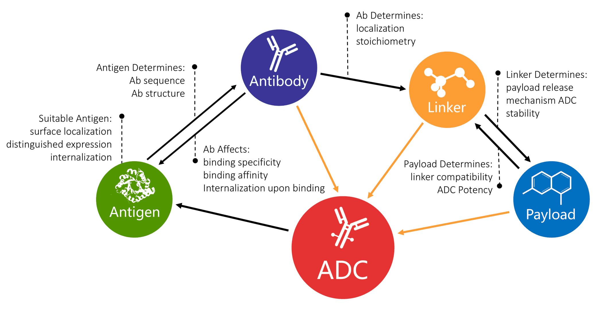 A flow chart summarizing the design of an ADC. Correlations between different components in an ADC intertwine, making the ADC design a challenging yet interesting process.