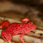 01300000862541128436802298328