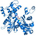 01300000242726125125788723433