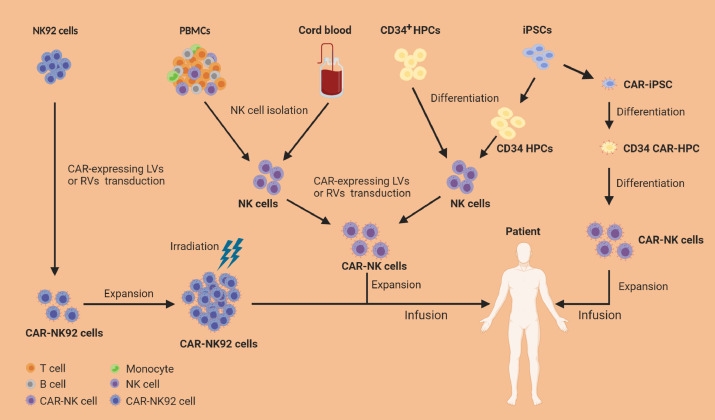 Sources and manufacturing of CAR-NK cell products. 