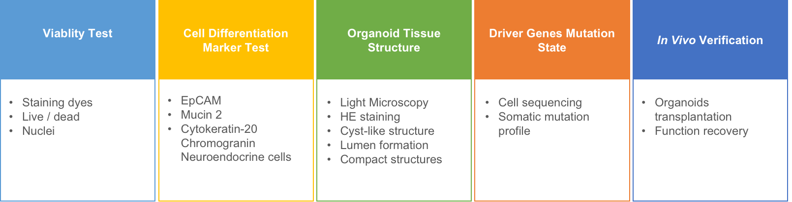 Characterizing organoids using various methods.