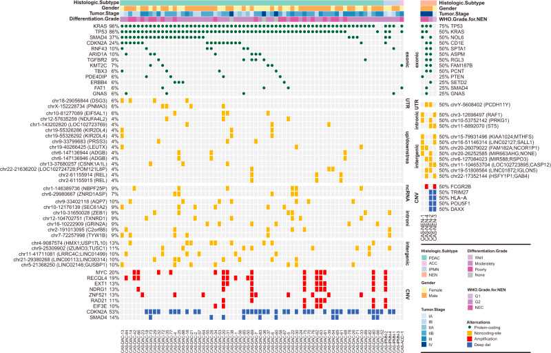 Whole genome analysis of patient-derived pancreatic organoids.