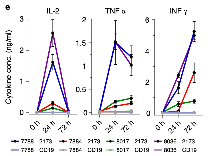Increased cytokines (IL-2, TNF-α, and IFN-γ) production after co-culture of EGFRvIII+ organoids with targeted CAR-T cells.
