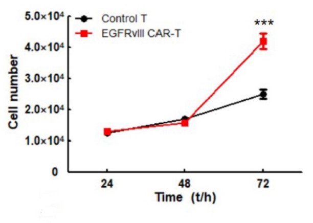 Fig.1 EGFRvIII-CAR-T cell proliferation. (Ma, et al., 2020)