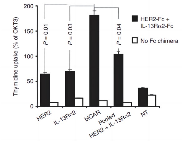 Fig.3 The proliferative capacity of HER2 CAR and IL-13Rα2 CAR T cells. (Hegde, et al., 2020)