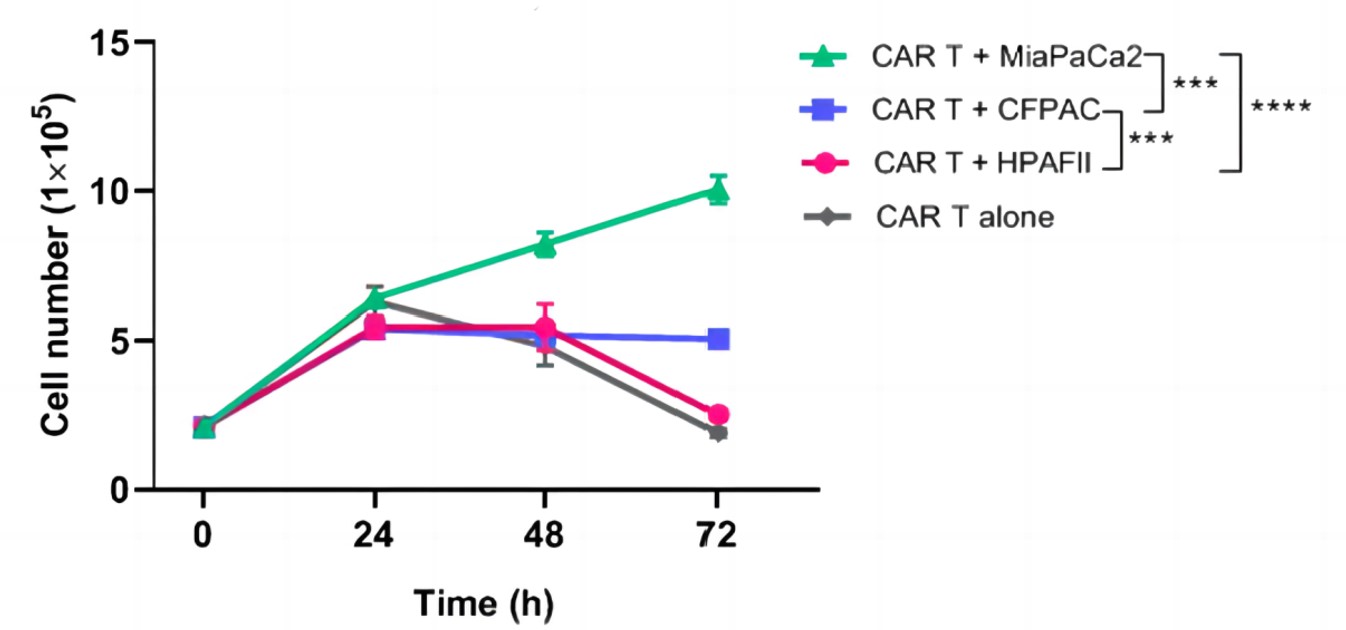 Fig.4 CAR T cells proliferation over time after co-culture with different target cells. (Yazdanifar, et al., 2020)
