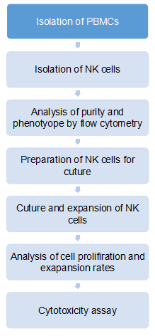 NK Cell Expansion Service