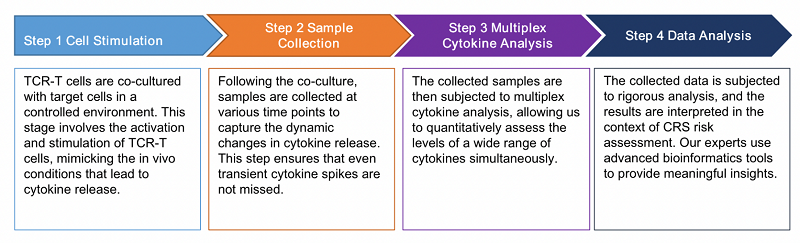 Fig.2 Workflow of Cytokine Release Assay. (Creative Biolabs Original)