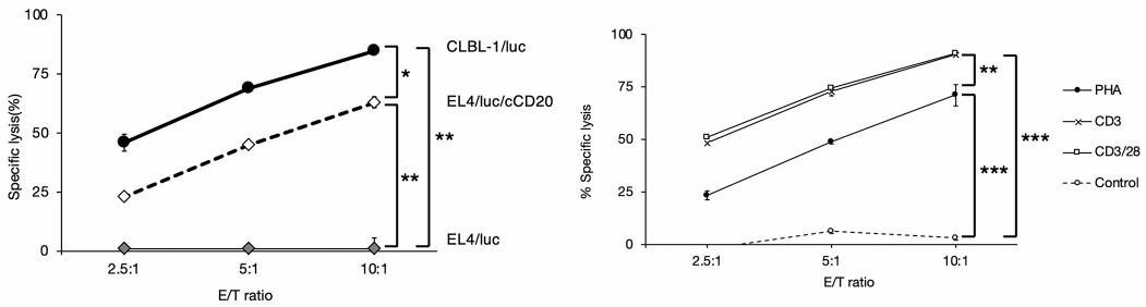 In vitro cytotoxic activity of canine CD20 CAR-T cells.