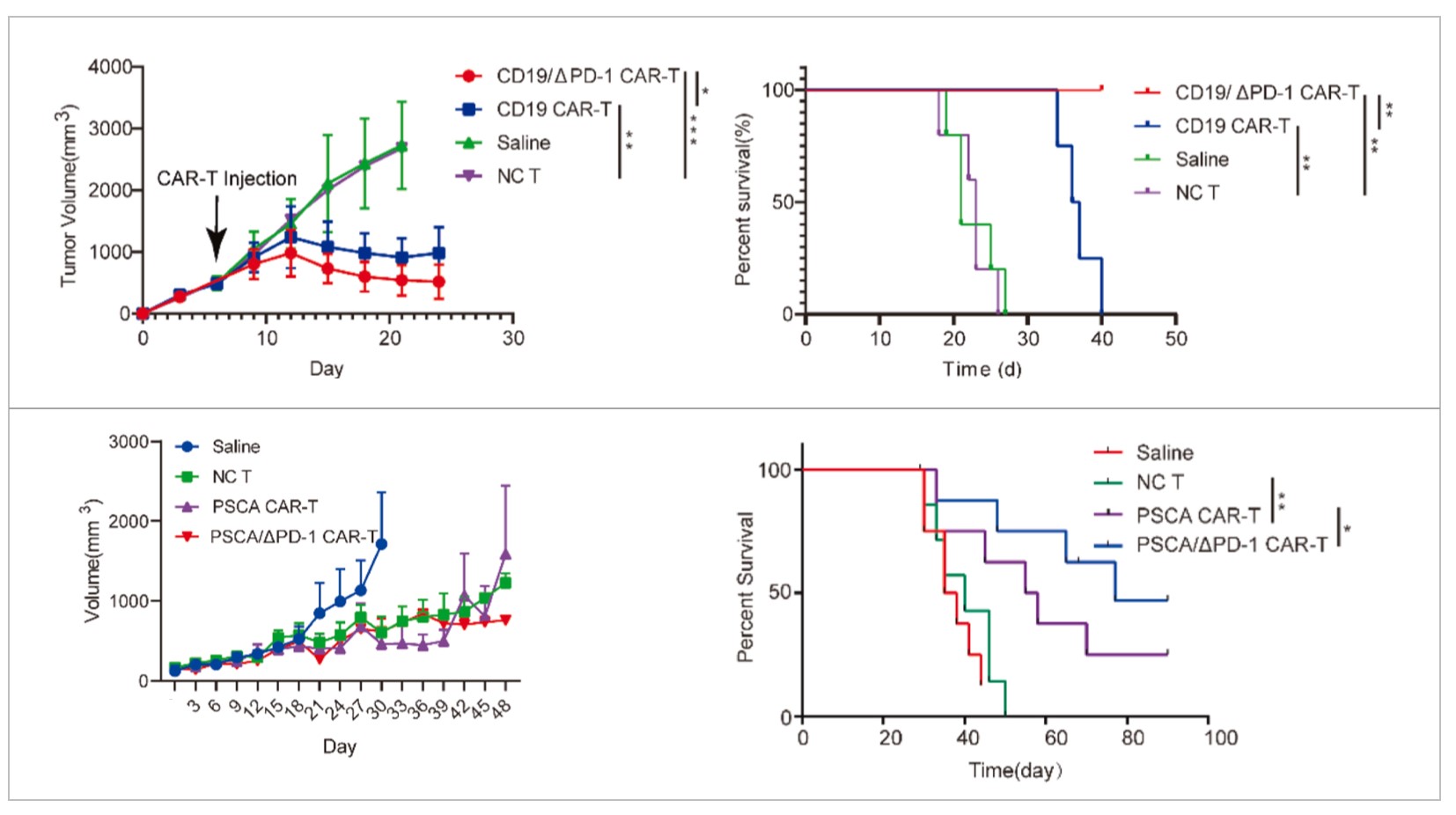 PD-1 silence enhances anti-tumor efficacy in CAR-T cells