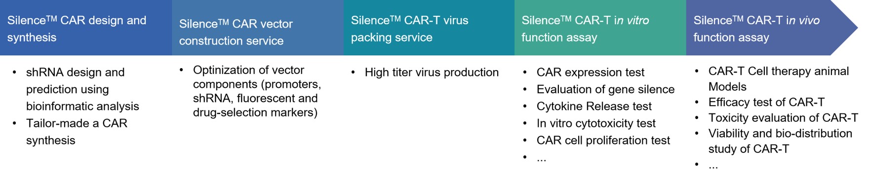 Workflow of Silence™ CAR-T therapy development.
