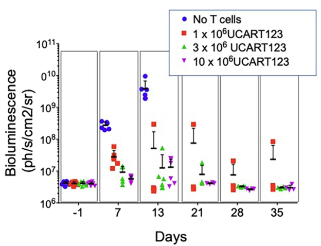 Fig.6 Efficacy of CD123 CAR-T treated NSG mice. (Sugita, et al., 2022)