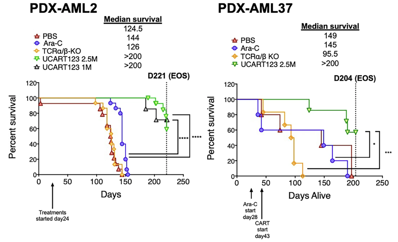 Fig.7 Survival curves of CD123 CAR-T treated with PDX-AML2. (Sugita, et al., 2022)