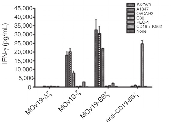 Fig.2 IFN-γ secretion by anti-FRα CAR-T cells co-cultured with FRα+ cancer cell lines. (Song, et al., 2011)