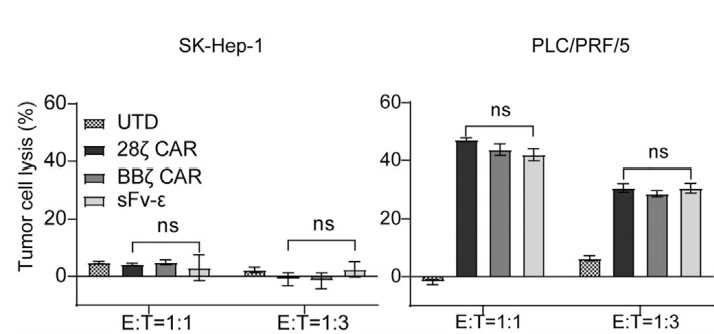Fig.3 The cytolytic effector function of anti-GPC3 CAR-T against human HCC cell lines PLC/PRF/5 or SK-Hep-1. (Sun, et al., 2022)