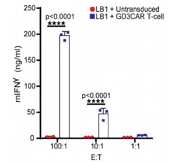 Fig.3 IFN-γ release by anti-GD3 CAR T cells with LB1 Tsc2–/– tumor cells. (Thomas, et al., 2021)
