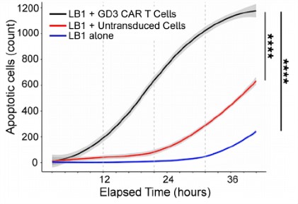 Fig.4 The cytotoxicity of anti-GD3 CAR-T against LB1 tumor cells. (Thomas, et al., 2021)