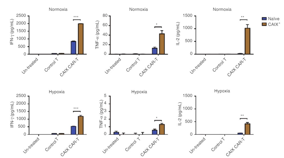 Fig.3 IL-2 release by anti-CA9 CAR-T cells with K562 or CA9-K562 stimulation. (Li, et al., 2020)