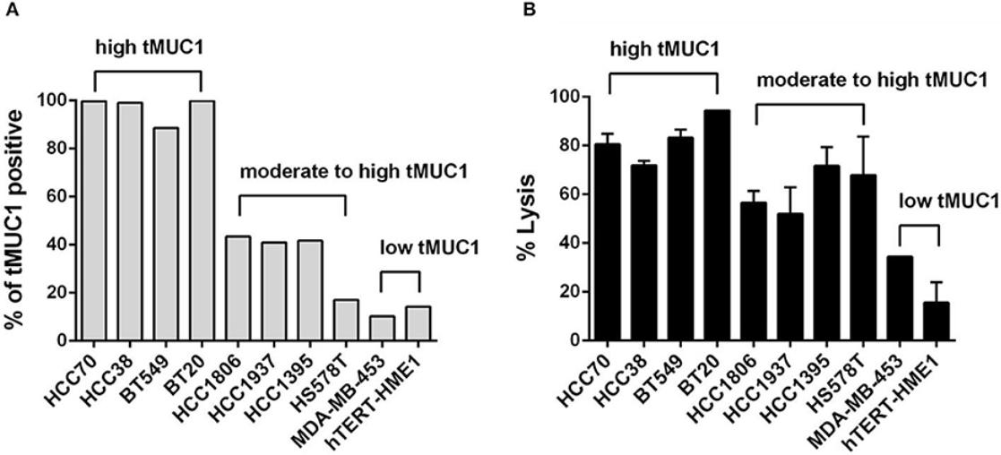In vitro cytotoxicity activity of anti-MUC1 CAR-T cells against TNBC tumor cells. (Zhou, et al., 2019)