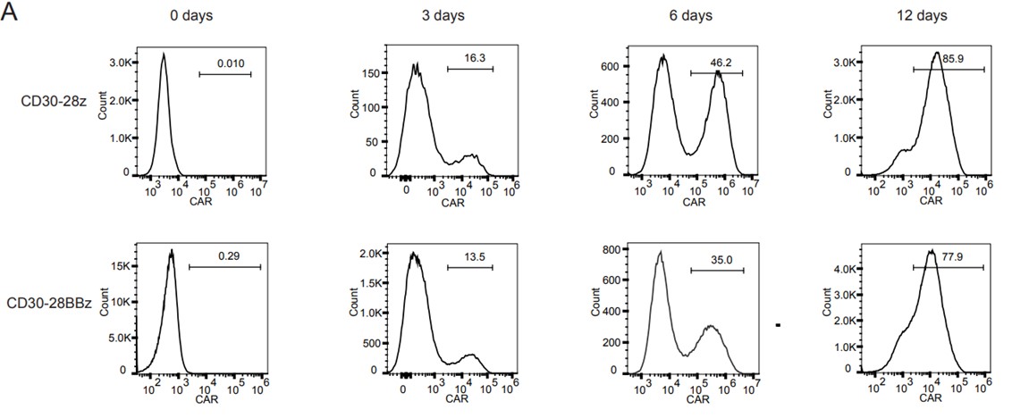 Flow cytometry analysis of CD30 CAR expression on second-generation and third-generation Anti-CD30 CAR T-cells after CD30-CAR lentivirus transduction.