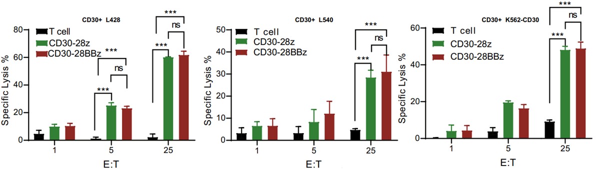 Cytotoxicity of second-generation and third-generation CD30 CAR T-cells against 3 different tumor target cells at indicated E:T ratio.