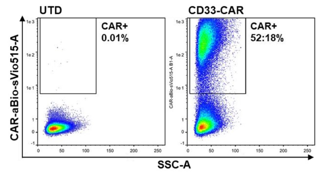 Flow cytometry analysis to evaluate CAR expression of anti-CD33 CAR-NK cells after transgene transfer 12 days.