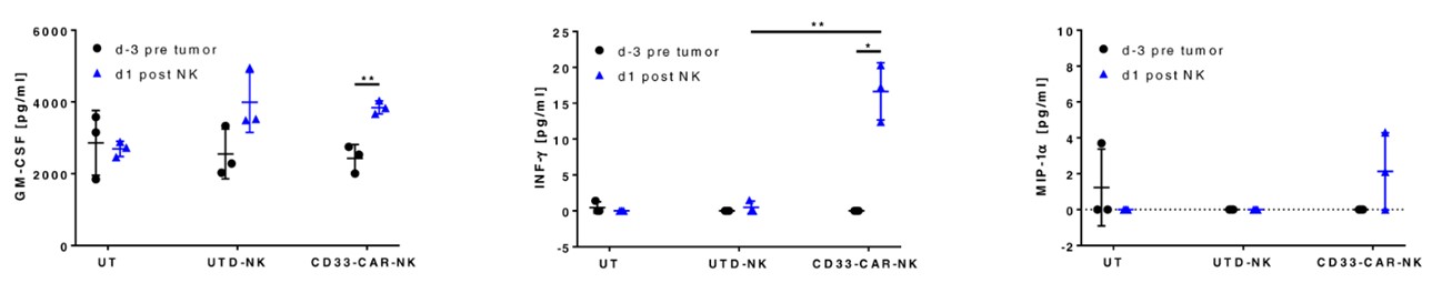 Cytokine analysis (GM-CSF, INF-γ, MIP-1α) of blood serum from OCI-AML2 engrafted NSG-SGM3 mice with the treatment of CD33 CAR-NK cells. (Albinger, et al., 2022)