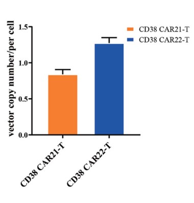 The CD38 CAR integration copy number detection of primary T cell after transduction by RT-qPCR.