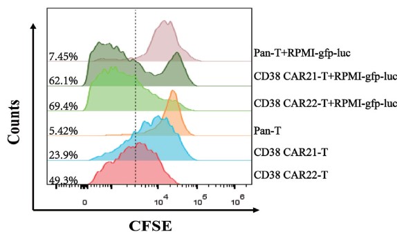 Proliferation test of CD38 CAR-T cells by the CFSE-based methods.