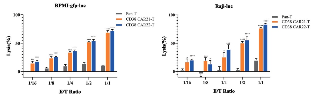 In vitro tumor killing test of CD38 CAR-T cells against RPMI-GFP-Luc target cells or Raji-Luc target cells by luciferase assay. (Li, et al., 2021).