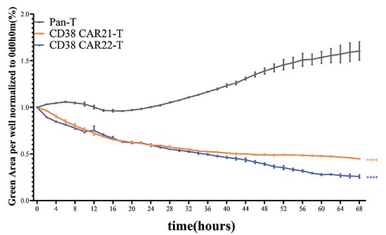 In vitro cytotoxicity assay of CD38 CAR-T cells against RPMI-GFP-Luc target cells at 1:1 E:T ratio measured by IncuCyte system. (Li, et al., 2021)