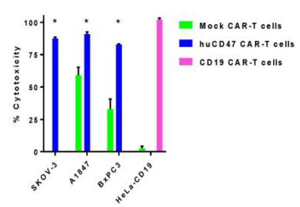 Fig.7 High cytotoxicity of CD47 CAR-T cells against CD47-positive cancer cells. (Golubovskaya, et al., 2017)