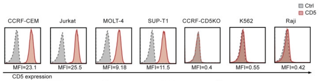 Fig.1 Surface expression of CD5 in T-ALL and T-lymphoma cell lines. (Dai, et al., 2021)
