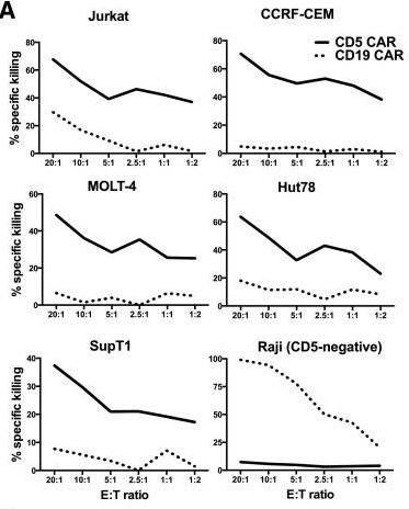 Fig.3 Cytotoxicity of CD5 CAR-T compared to CD19 CAR-T. (Mamonkin, et al., 2015)