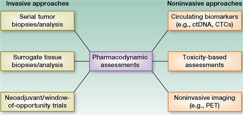 Depiction of various pharmacodynamic biomarker assessments.