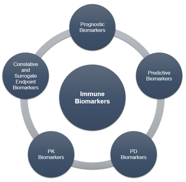 Immune Biomarker Discovery Services