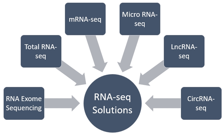 RNA Sequencing (RNA-seq) for Biomarker Discovery Service 2