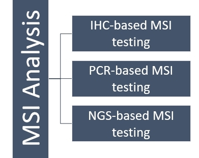 Microsatellite Instability (MSI) Analysis for Biomarker Discovery 2