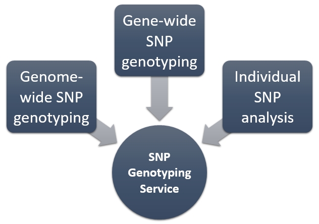 High-throughput Single-nucleotide Polymorphism (SNP) Genotyping for Biomarker Discovery 