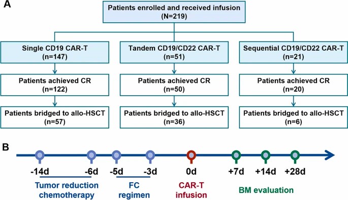 Timeline of CAR-T therapy and patients information for retrospective study. (Liu, et al., 2023)