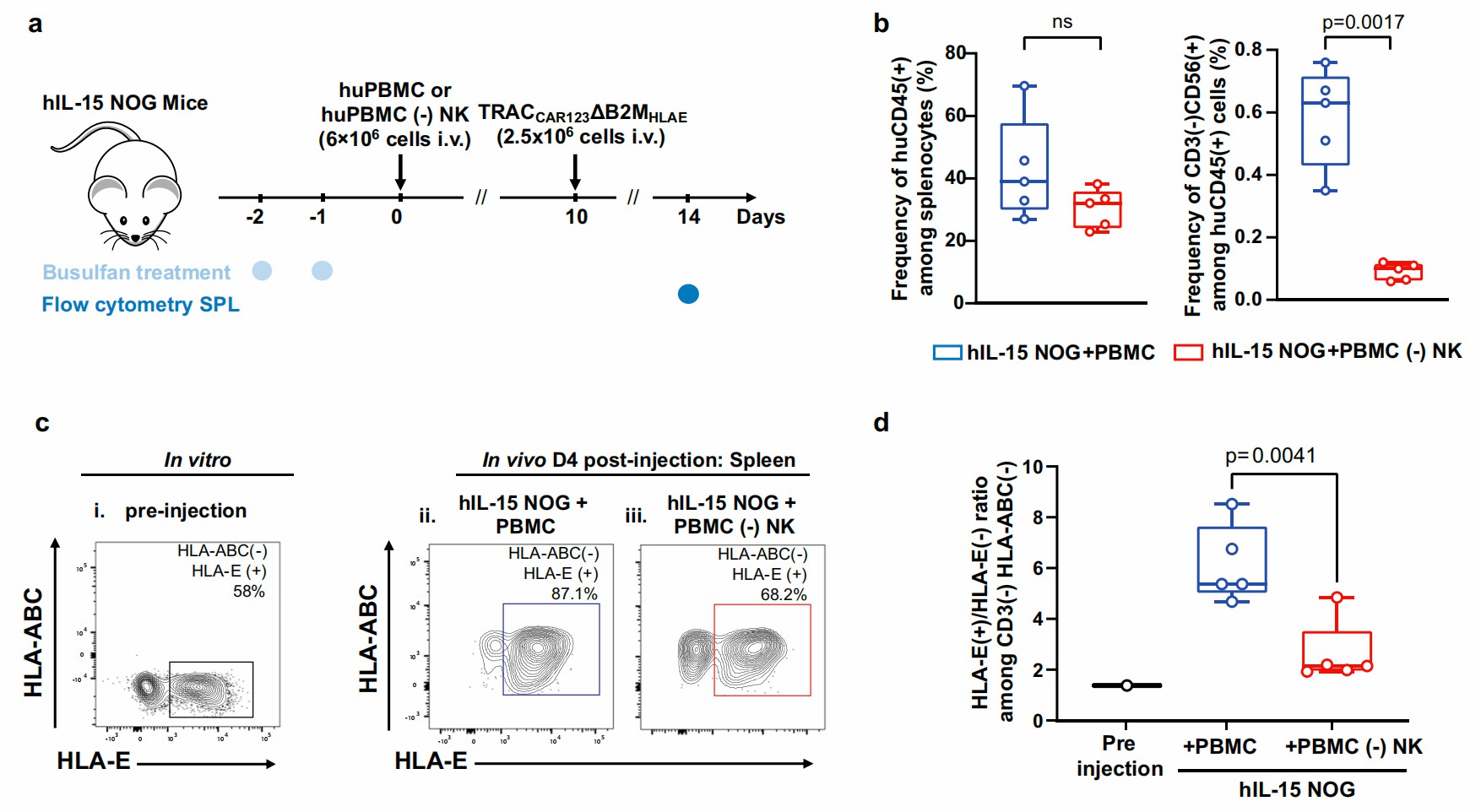 HLA-E expression at disrupted B2M loci endowed CAR-T cells improved antitumor functions in vivo. (Jo, et al., 2022)